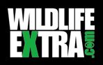 Wildlifeextra.com