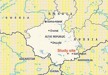 Altai map