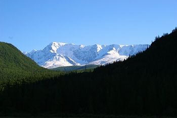 Study site