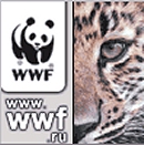 WWF Russia WWF Russia