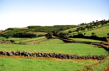 Green fields in the interior of Faial island
