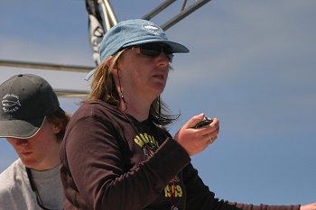 Counting whale blow rates