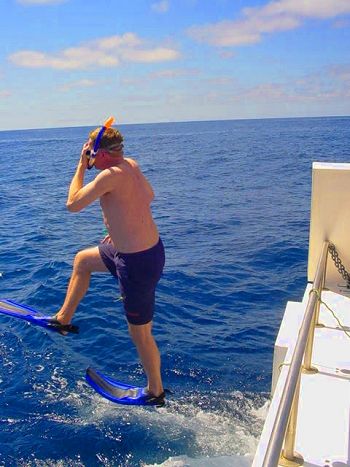 Taking the plunge to collect whale skin samples