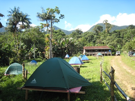 Base