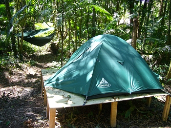 Base