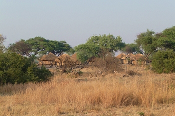 Base in the middle of the bush