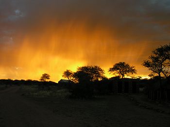 Sunset over the study site