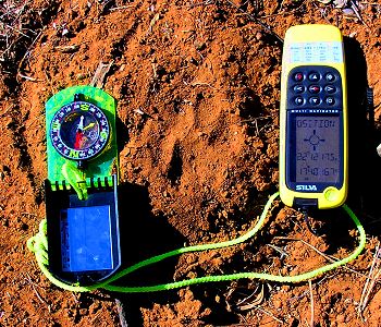 Recording a cheetah track