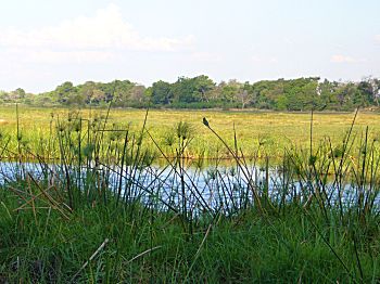 Kwando river - Namibia on the nearside, Botswana on the other