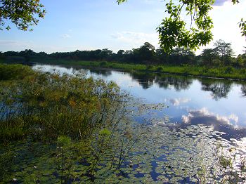 Kwando river - Namibia on the nearside, Botswana on the other