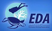 EDA