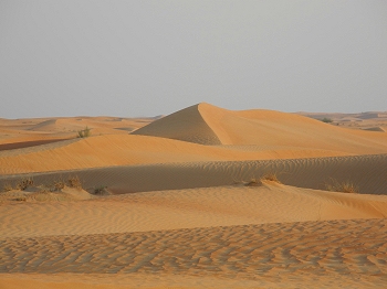 Desert landscape & study site