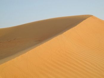 Desert landscape & study site