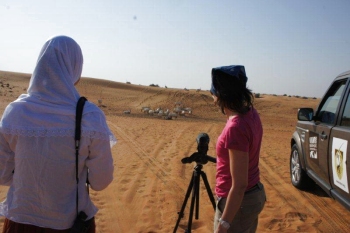 Observation work