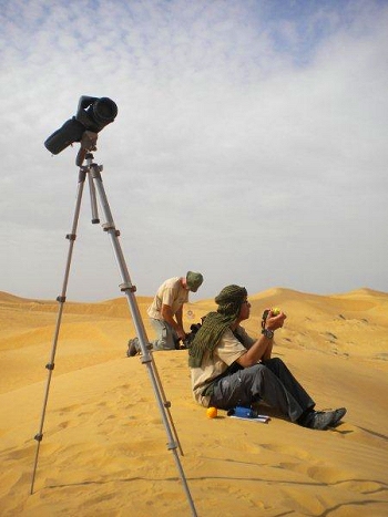Observation work