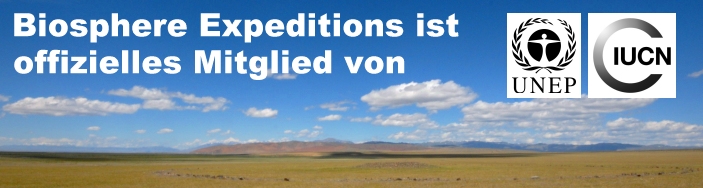 Namibia Elefanten