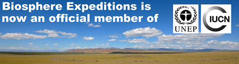 Namibia elephants