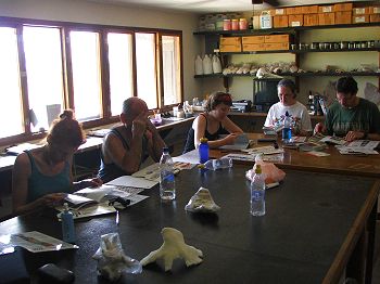 Training & bookwork