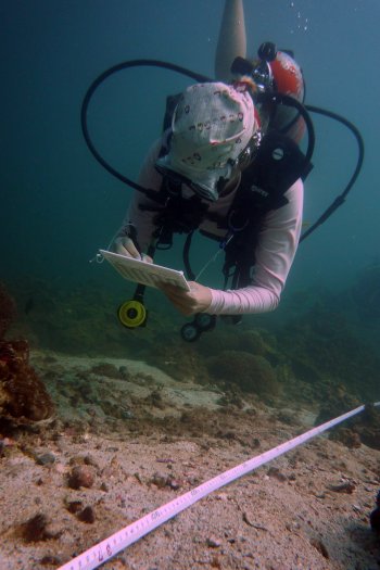 Surveying the reef along the transect tape