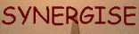 Synergise