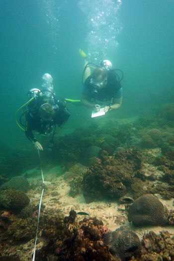 Surveying the reef along a transect tape.