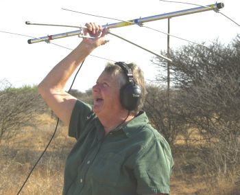 Tracking a collared cat