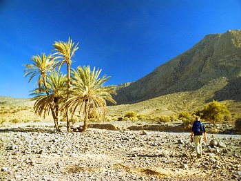 Surveying a wadi (courtesy of Andreas Hub).