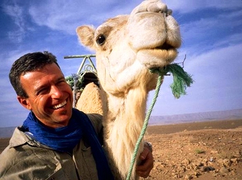 Camel crazy