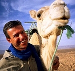 Camel crazy