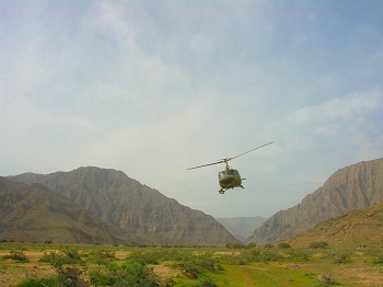 Heli