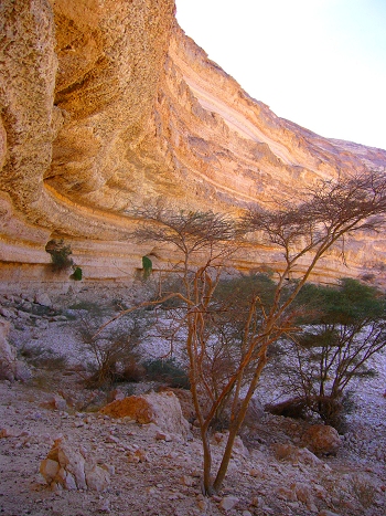 Dhofar wadi