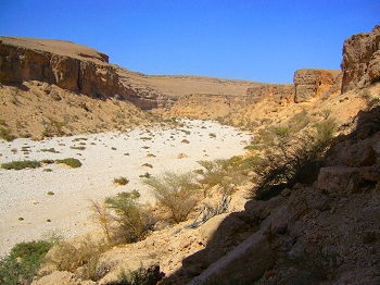 Dhofar wadi