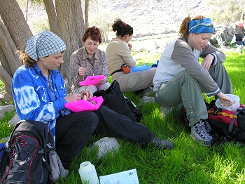 Lunch stop