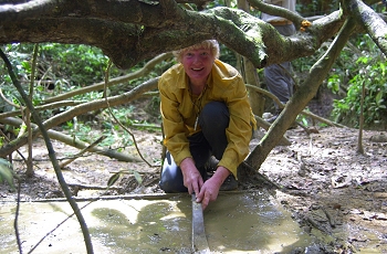 Setting up a track trap