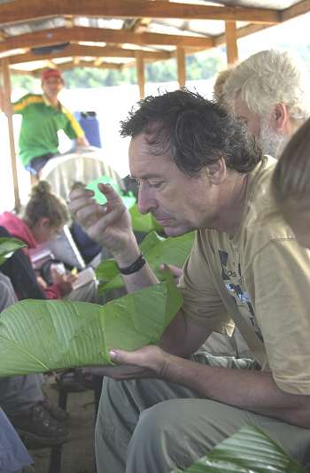 Lunch wrapped in banana leaf