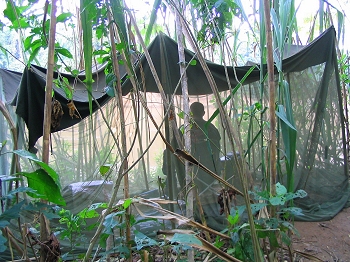 The hide in front of the parrot clay lick