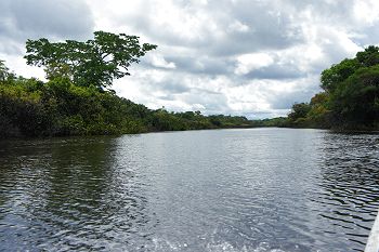 Study site