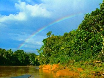 Rainbow over the study site
