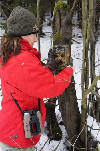 Setting up a camera trap