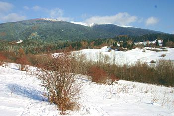Mountain landscape in the study area