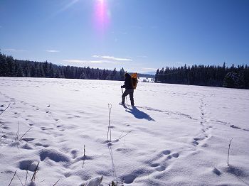 Survey walk