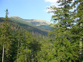Mountain landscape in the study area