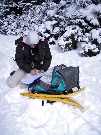 Recording a wolf track