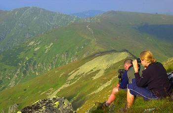 Observation post on the main ridge