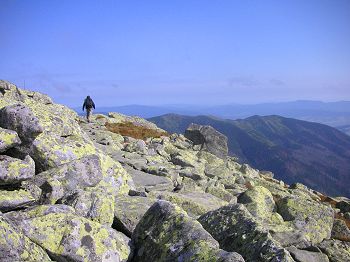 Surveying the ridge