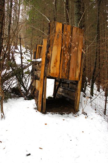 Lynx trap
