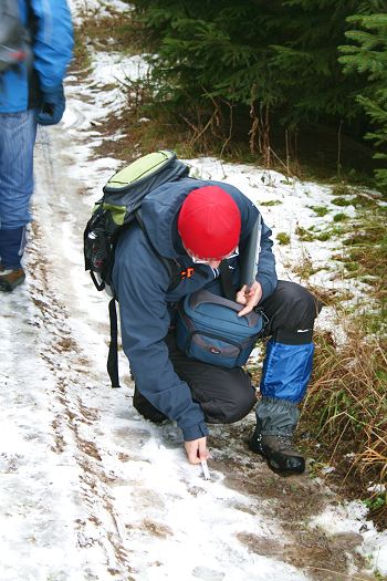 Recording a wolf track