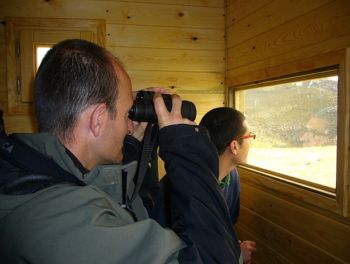 Hide-based observations at a feeding site