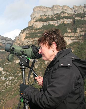 Looking for capercaillie and ptarmigan higher up the mountain