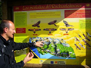 Training - explaining the study site and bird identification